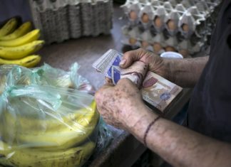 Canasta Alimentaria Familiar ascendió a Bs 460.381,55 en noviembre
