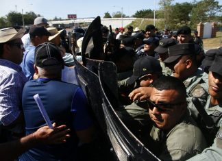 Panamá: Productores de arroz protestan contra las importaciones