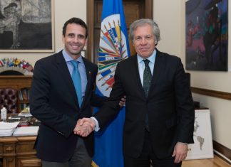 Capriles se reúne con Almagro para pedir aplicación de la Carta Democrática