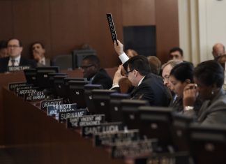 Países miembros de la OEA expresaron su preocupación por Venezuela