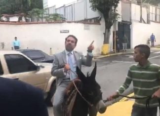 Candidatos en burro y burros de candidatos