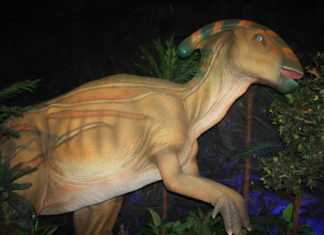 Dinoworld ofrece entretenimiento y educación para toda la familia