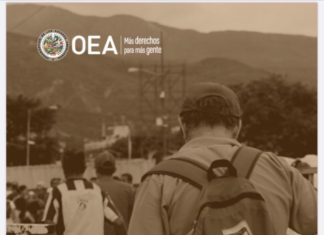 Oficina de la OEA reveló un informe sobre la situación de los venezolanos que han regresado al país en el contexto Covid-19