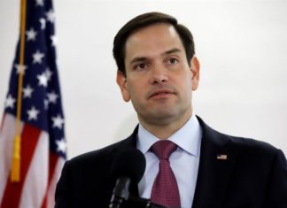 #ELECCIONES2020 | Marco Rubio: “Hay que contar todos los votos antes de declarar un ganador”