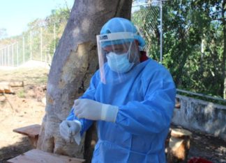 Panamá registra 895 casos de COVID-19 en las últimas 24 horas