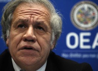 Solicitan a la OEA encabezar una iniciativa regional para producir un cambio en Cuba