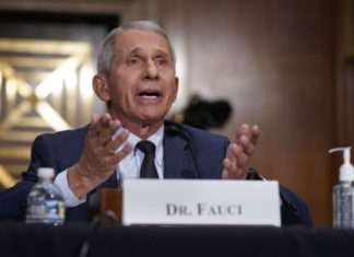Anthony Fauci pronosticó la fecha en que el coronavirus estará controlado en los Estados Unidos