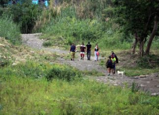 Aumenta un 19 % homicidios en seis estados fronterizos de Venezuela, según ONG
