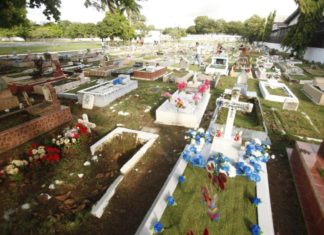 Panamá alcanza las 8.192 muertes por la covid-19 y 786.856 casos