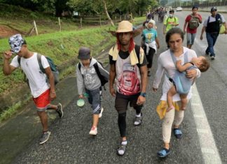 Casi ocho mil venezolanos han atravesado la selva del Darién en 2023 Migrantes atravesando la selva del Darién.