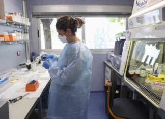 La OMS activa su máximo nivel de alerta global ante el brote de viruela del mono