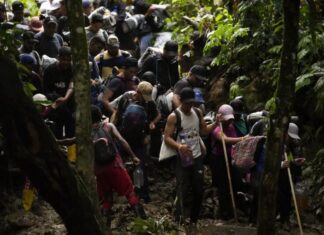 Más de 78 mil migrantes han cruzado la selva del Darién en lo que va de 2023