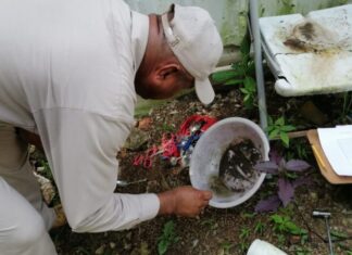 Panamá registra más de mil 900 casos de malario y más de 700 de dengue
