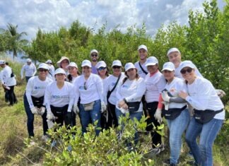 Fundación AES Panamá reforesta Isla Galeta junto a voluntarios