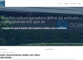 Las proyecciones de la reaseguradora Ocean RE para el 2024