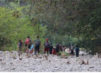 Esta es la cantidad de migrantes que han pasado por la selva del Darién en 2024