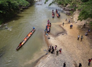 Panamá: rescatan a 74 migrantes y arrestan a 4 coyotes colombianos