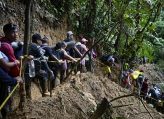 Número de menores migrantes que cruzan solos la selva del Darién creció un 35 % en 2024: UNICEF
