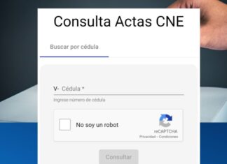 Desarrolladores web sobre la página creada por MCM para verificar actas: «Es un megaproyecto de ingeniería»