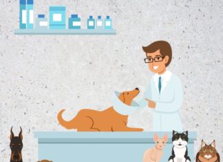 Hospital de Mascotas será una realidad en Panamá