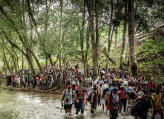 Cae en 96 % la cifra de migrantes que cruzaron en febrero de Colombia a Panamá por el Darién