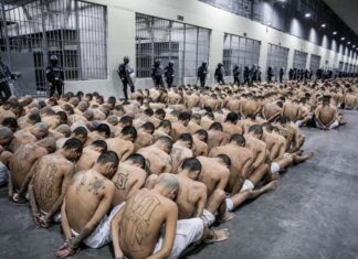 La ONU insta a EE. UU. a respetar el Derecho Internacional en sus políticas migratorias