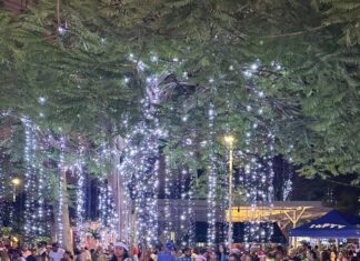 Celebran festival de luces: “Jesús es la Navidad”